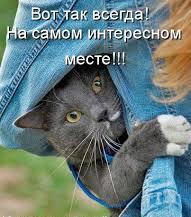 на самом интересном месте...